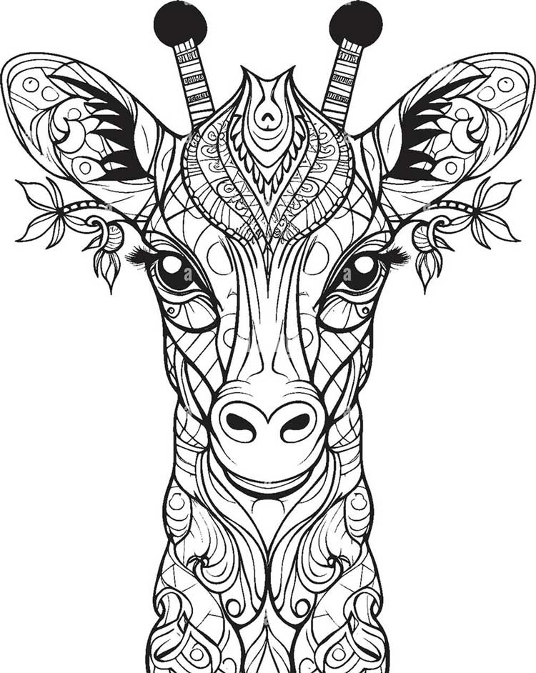 عکس، تمرکز رنگآمیزی ماندالا