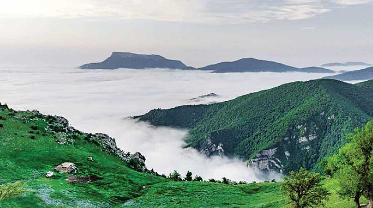 ایران جنگلهای ابر سمنان