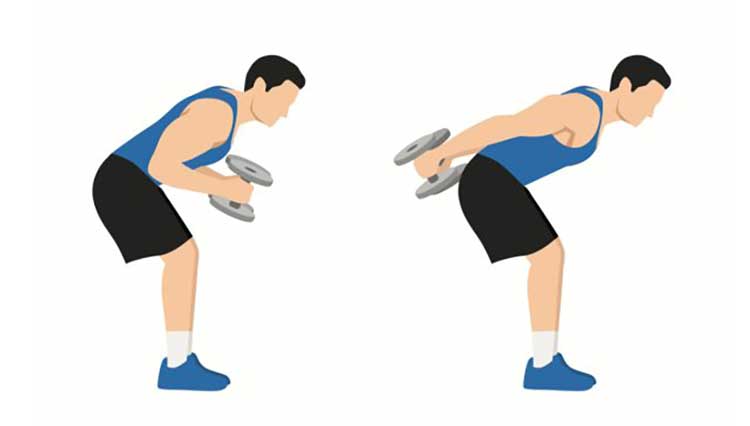 جلو بازو و پشت بازو سوپرست