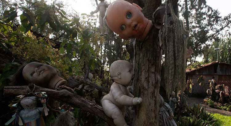 گوگل ارث جزیره عروسکها