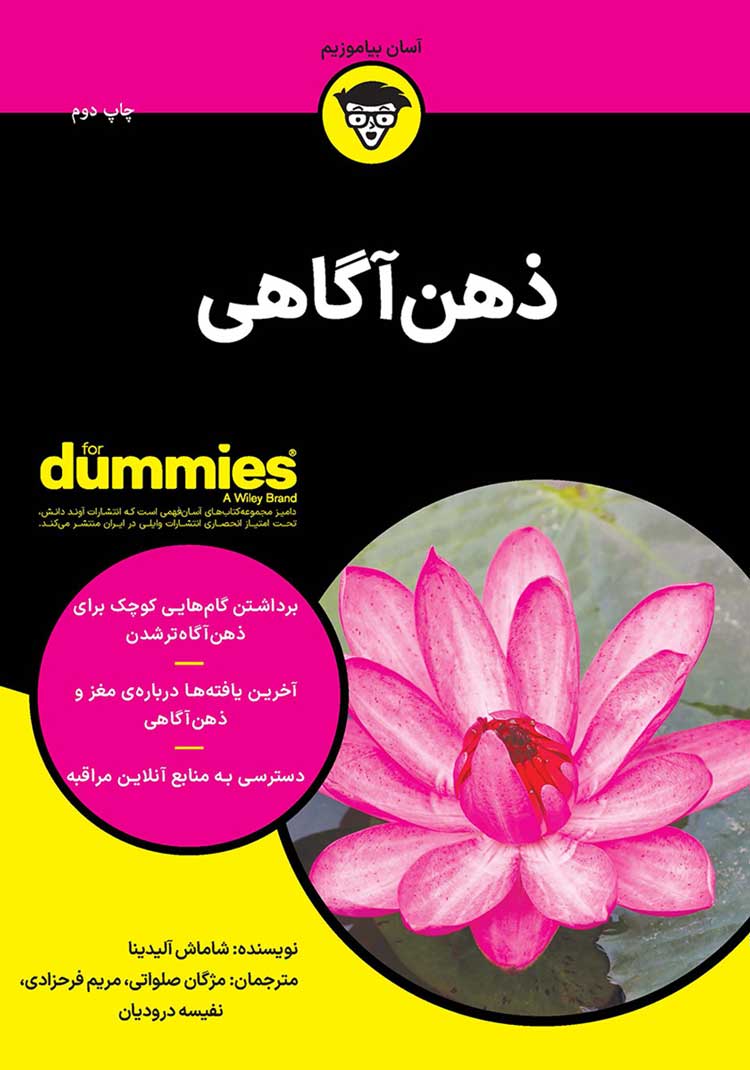 «ذهن‌آگاهی» — شاماش آلیدینا