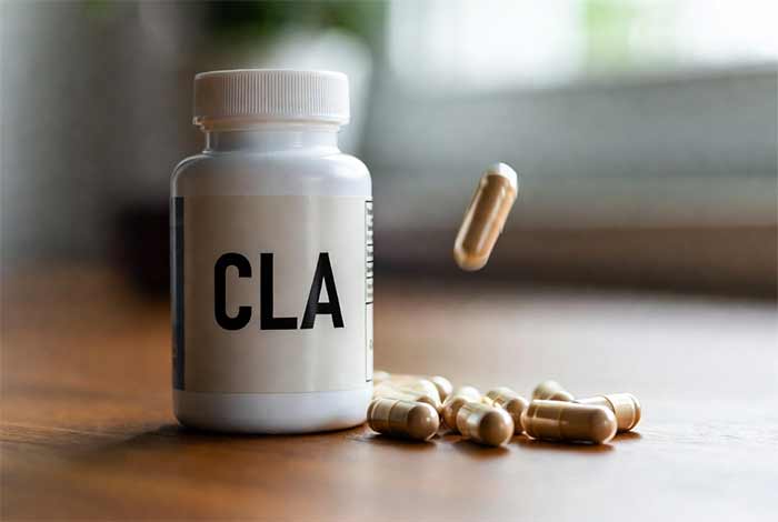 رژیم غذایی قرص دوم: CLA (اسید لینولئیک کونژوگه) – بهترین برای کاهش ذخیره چربی