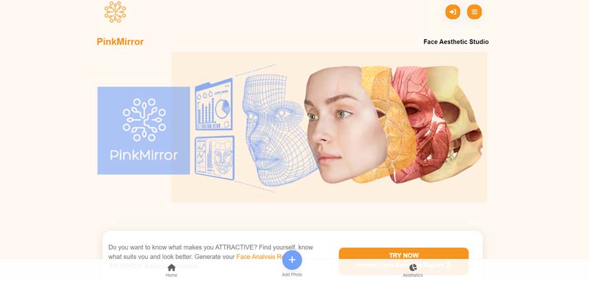 وب‌سایت PinkMirror (پینک‌میرور)