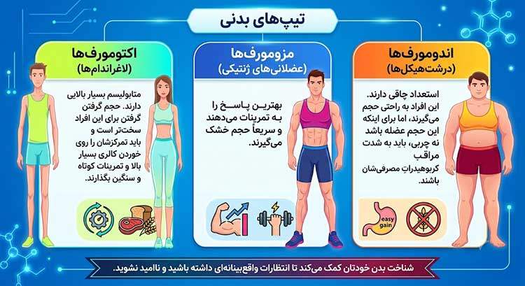 تناسب اندام تیپهای بدنی
