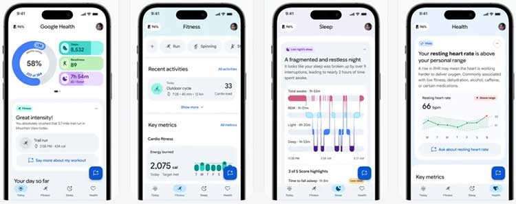 اپلیکیشن برنامه فیتبیت